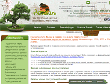 Tablet Screenshot of bonsa.ru